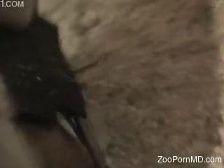 Wet zoophile pussy deserves a hardcore pounding