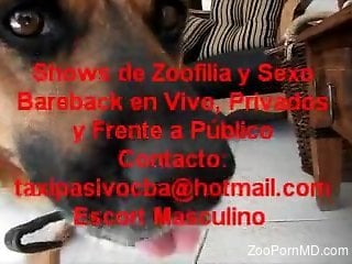 Special zoophilia homemade shows with real persons