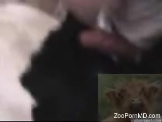 Guy's hard cock dominating a tight animal hole