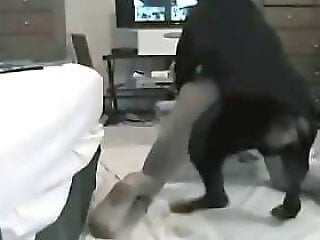 Zoo porno and bestiality